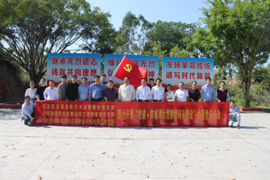 党建品牌强引领，党建联盟聚合力 ——促进特色党建与西部陆海新通道建设深